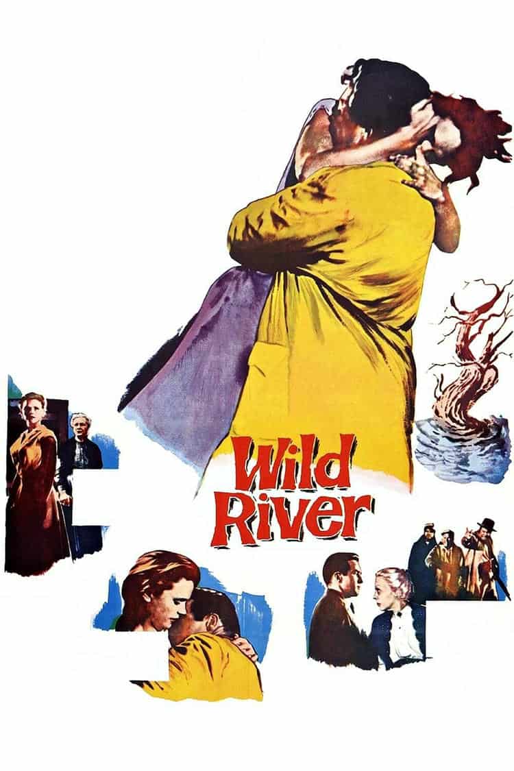 Poster for Wild River